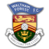沃尔瑟姆斯托 队徽